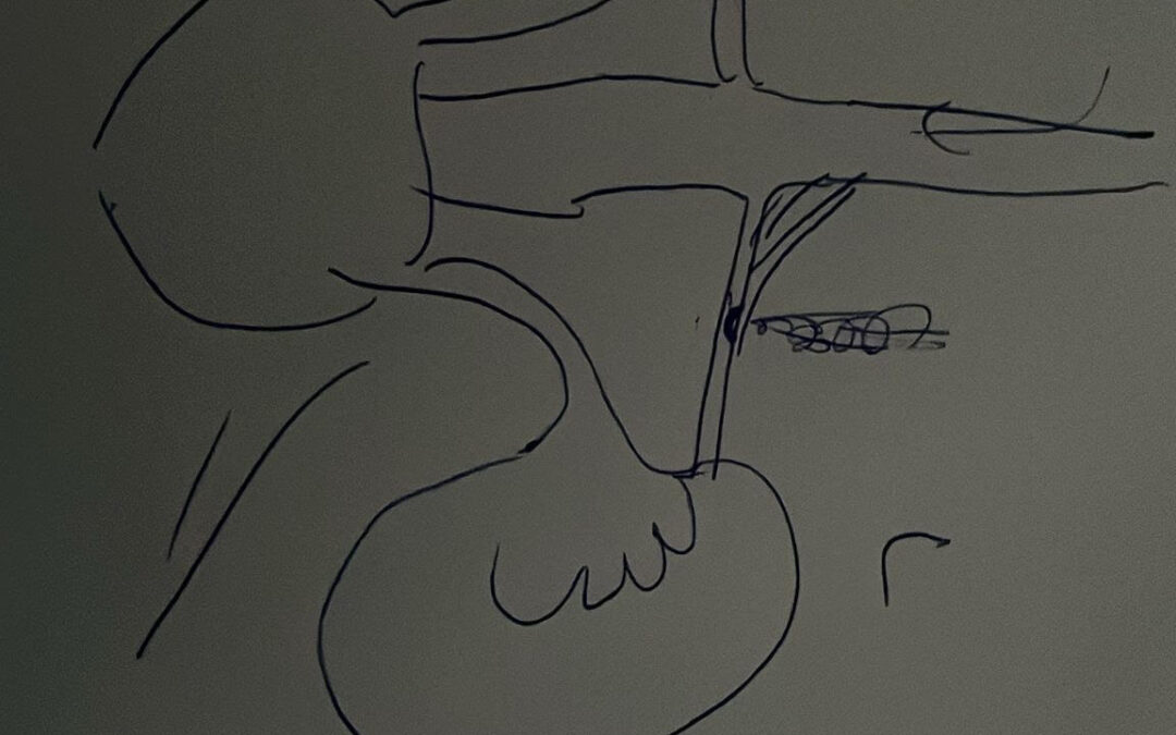 Update Daan: Spoed operatie aanstaande donderdag